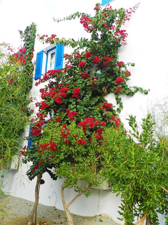 Aggelos Studios Agios Prokopios  Esterno foto